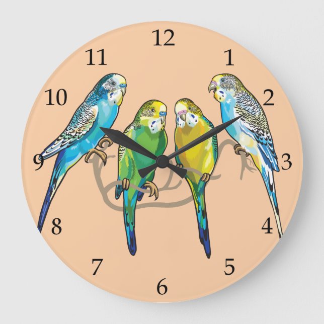 budgerigars large clock (Front)