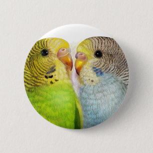 Budgerigars realistic painting 2 inch round button