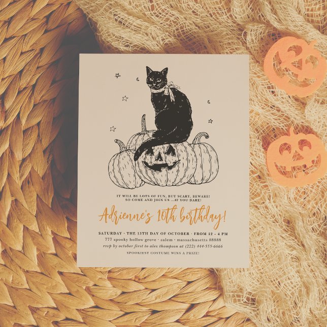 Budget Black Cat Halloween Pumpkin Birthday Party (Creator Uploaded)