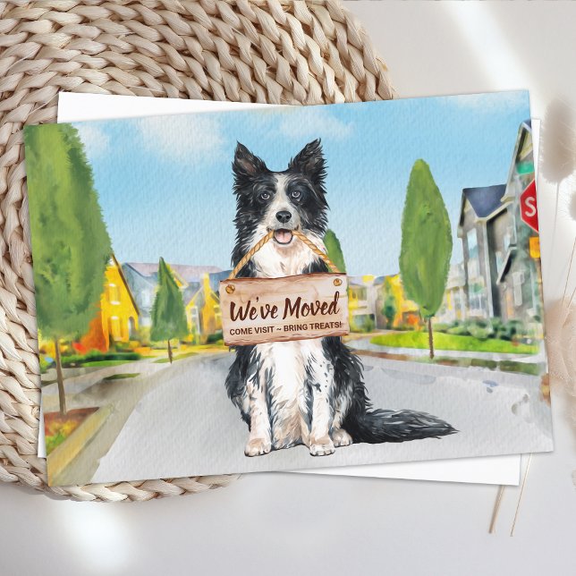 Budget Border Collie We've Moved Dog Moving Card (Creator Uploaded)