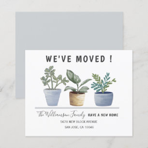 Budget Botanical Potted Plants Moving Announcement