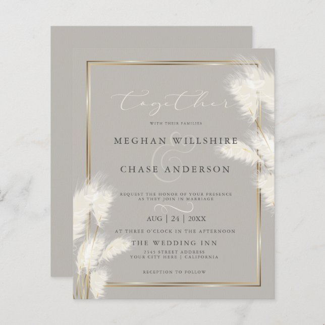 Budget but Beautiful Elegant Ivory Pampas Grass (Front/Back)