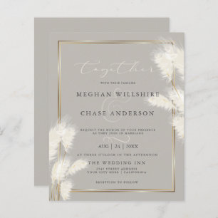 Budget but Beautiful Elegant Ivory Pampas Grass