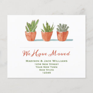 Budget Cactus New Address Moving Announcement