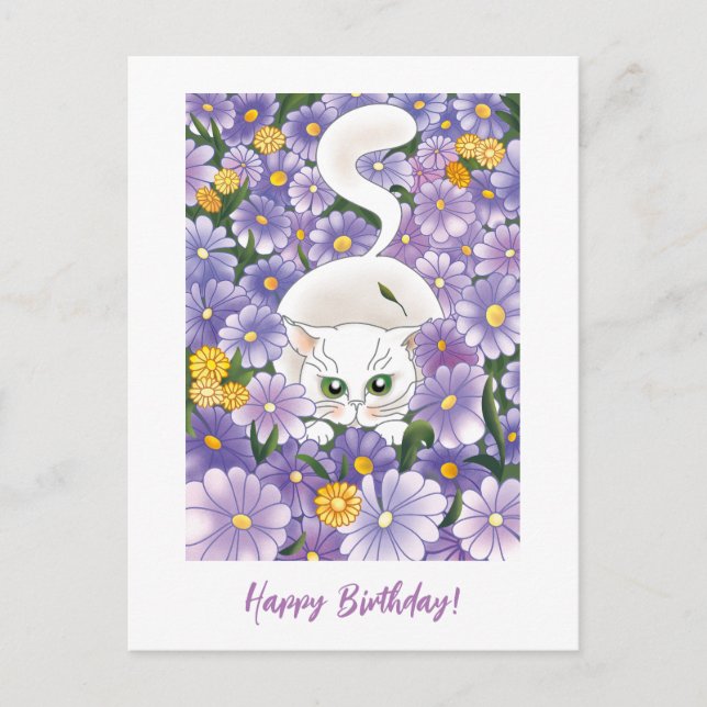 Budget Curious Cat Vintage Birthday Greetings Card (Front)