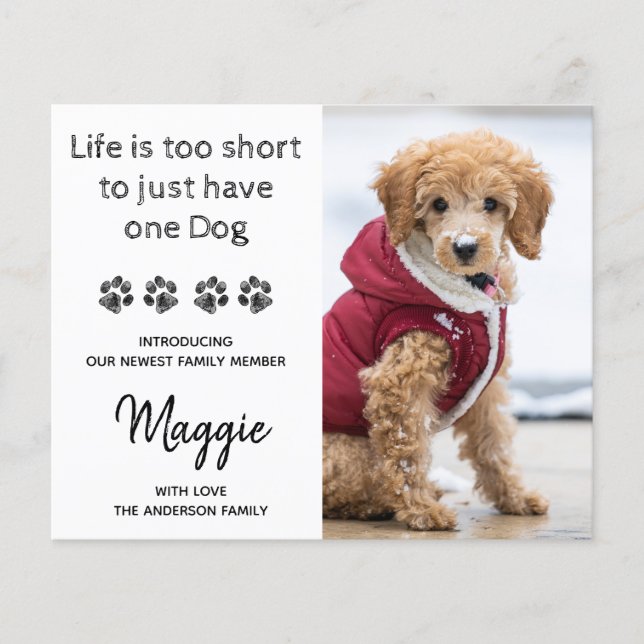 Budget Custom Photo New Pet New Puppy Announcement (Front)