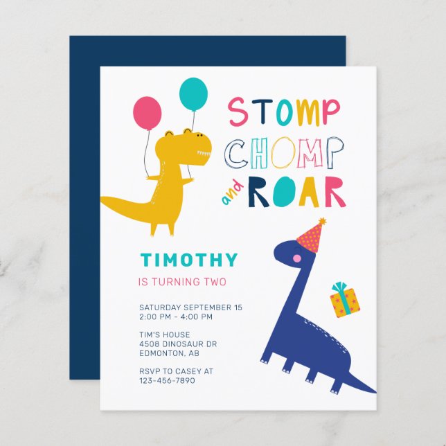 Budget Cute Dinosaur Birthday Colourful Party Boys (Front/Back)