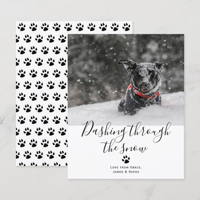 BUDGET Dashing Through The Snow Pet Dog Christmas (Front/Back)