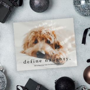 Budget Définir Naughty Funny Pet Carte de Noël