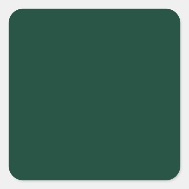 BUDGET Emerald Green Monochrome Text  Square Sticker (Front)