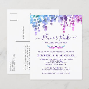 Budget Eucalyptus Baby Gender Reveal Pink Blue