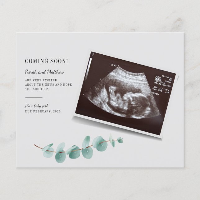 Budget Eucalyptus Botanical Pregnancy Baby Reveal (Front)