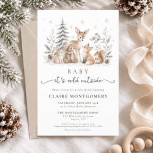 Budget It’s Cold Outside Cozy Winter Baby Shower Flyer