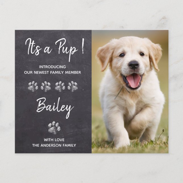 Budget It's a Pup New Pet Puppy Dog Announcement (Front)