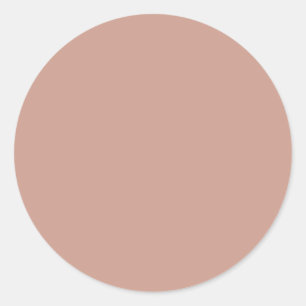 BUDGET Light Terracotta Monochrome WEDDING Classic Round Sticker