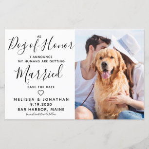 Budget Mariage Photo Chien Enregistrer Les Cartes