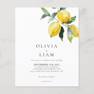BUDGET Minimalist Citrus Lemon Watercolor Wedding