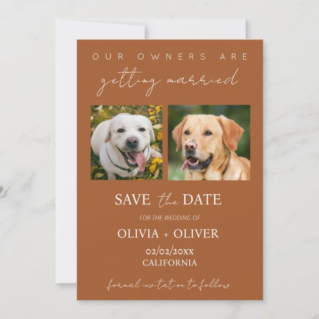 Budget, minimalist, terracotta Custom dog photo Save The Date (Front)