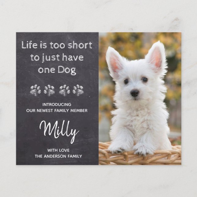 Budget New Pet New Puppy Announcement (Front)