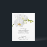 Budget Orchid Funeral Memorial Thank You<br><div class="desc">Small 4.5" x 5.6" paper features a beautiful white orchid is featured on these flat thank you notes. Can be used as thank you notes for celebration of life, funeral, death anniversary, or any occasion. Easily upload photos, obituary or any information on the back. These affordable invites are printed on...</div>