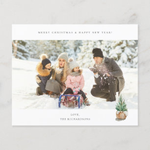 Budget Panoramic Chic H Photo - Winter Tree Flyer