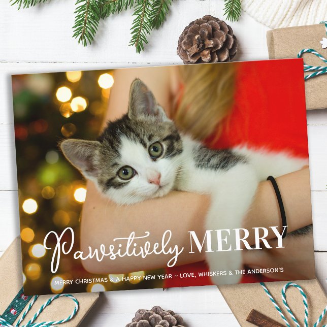 Budget Pawsitively Merry Custom Pet Cat Photo Card (Creator Uploaded)