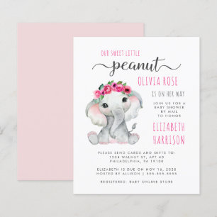 Budget Peanut Elephant Baby Girl Shower By Mail