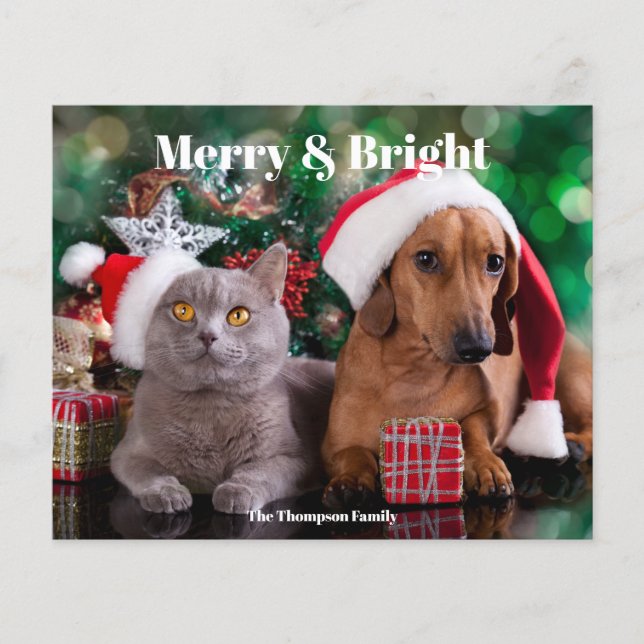Budget Pet Merry and Bright Photo Holiday (Front)