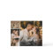 Budget Photo Collage Wedding Thank You Card