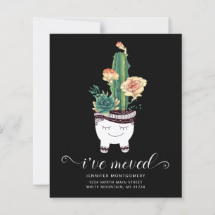Budget Pink Succulents Pot Moving Annoucement