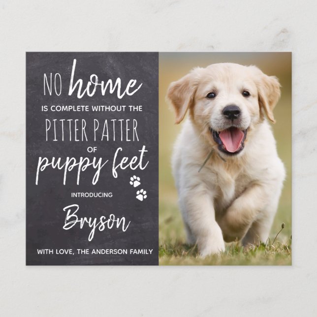 Budget Pitter Patter Puppy Feet Dog Puppy New Pet (Front)