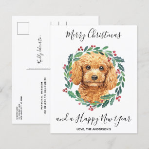Budget Poodle Chien Élégante carte postale de Noël