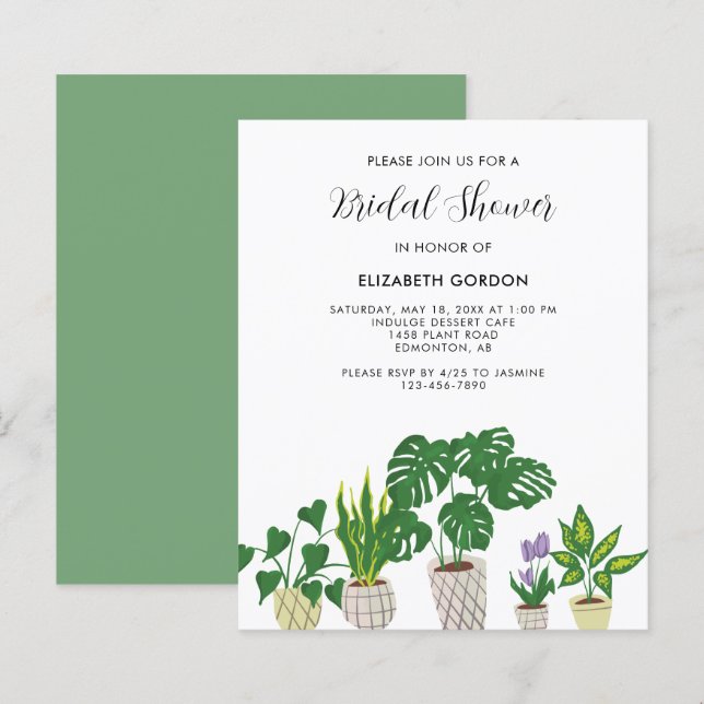 Budget Potted Plants Bridal Shower Greenery  (Front/Back)