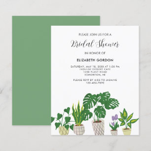 Budget Potted Plants Bridal Shower Greenery 