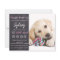 Budget Puppy Pawty Chalkboard Pink Dog Birthday