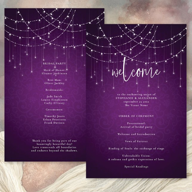 Budget Royal Purple String Lights Programme de mar (Front and back view)