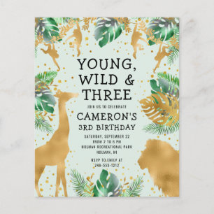 Budget Safari 3rd Birthday Pastel Green Invite