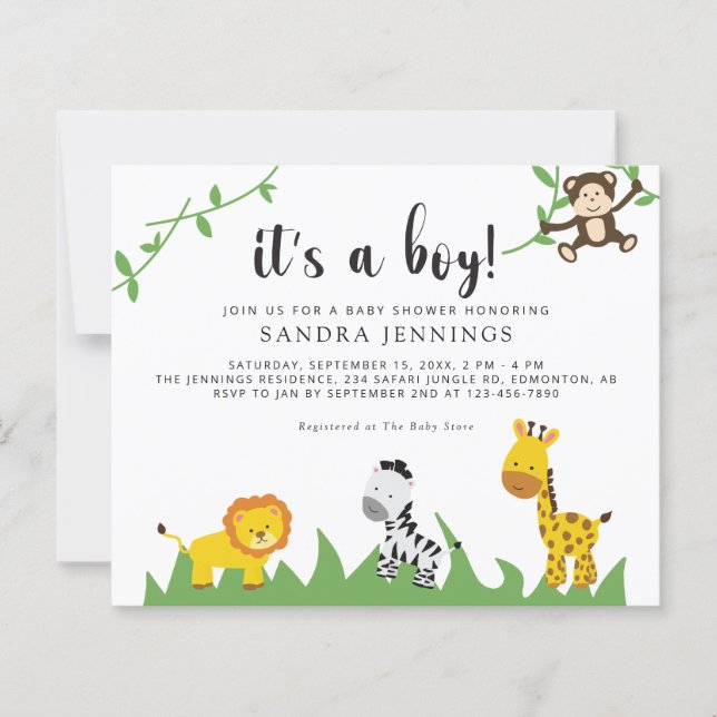 Budget Safari Baby Shower Jungle Animals Boy Cute (Front)
