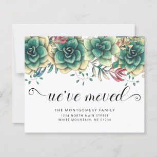 Budget Succulents Hens Chicks Moving Announcement