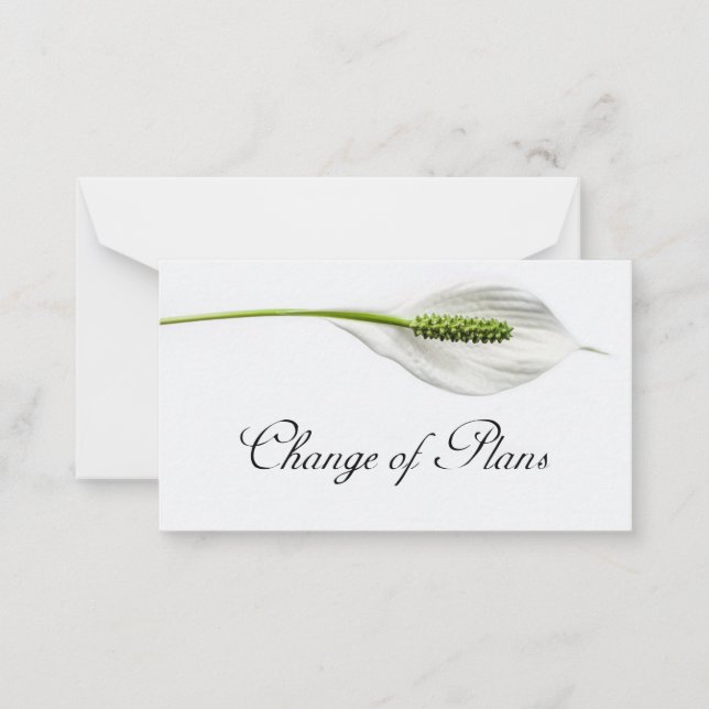Budget. White on grey Change of Plans Note Card (Front)