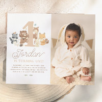 Budget Woodland Animals First Birthday Party Photo