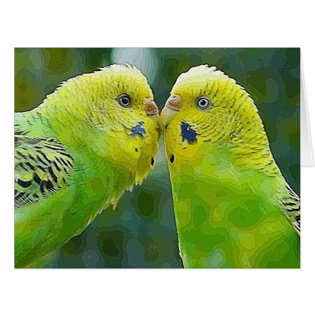 Budgie_2015_0604 (Devant horizontal)