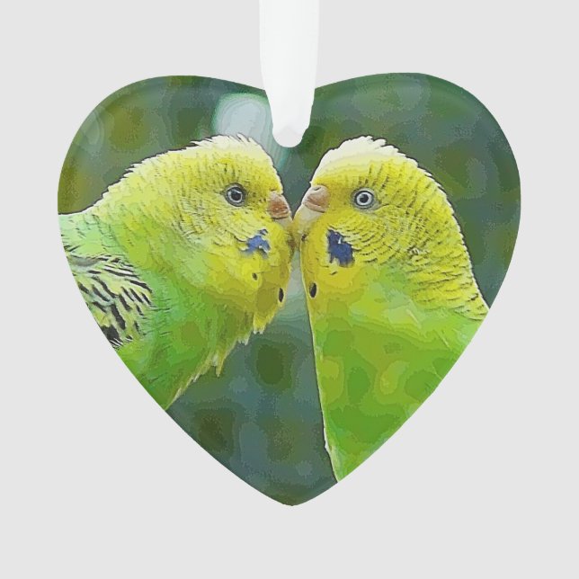 Budgie_2015_0604 (devant)
