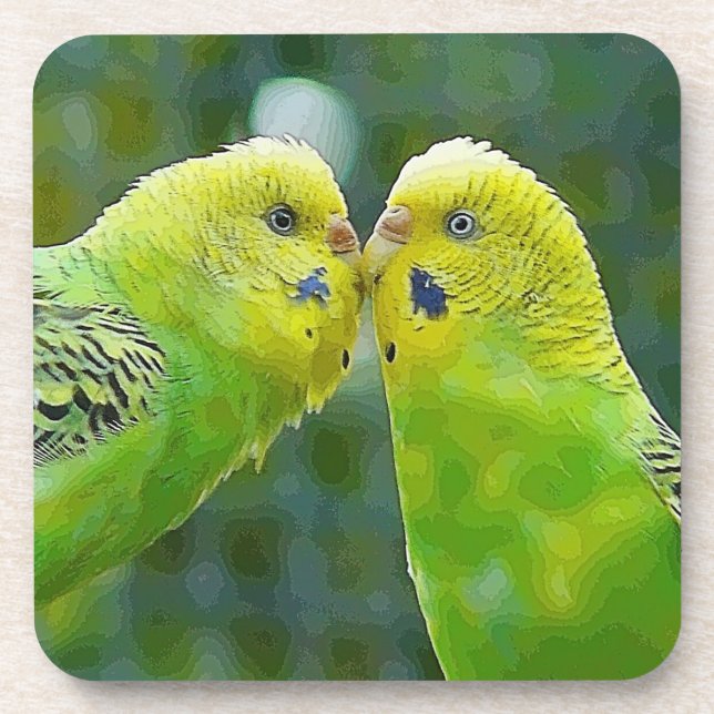 Budgie_2015_0604 Coaster (Front)