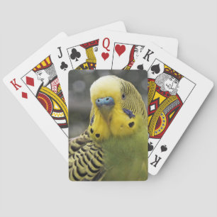 Budgie Bird Playing Cards