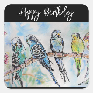 Budgie Budgerigar Bird Watercolour Mens Birds Square Sticker
