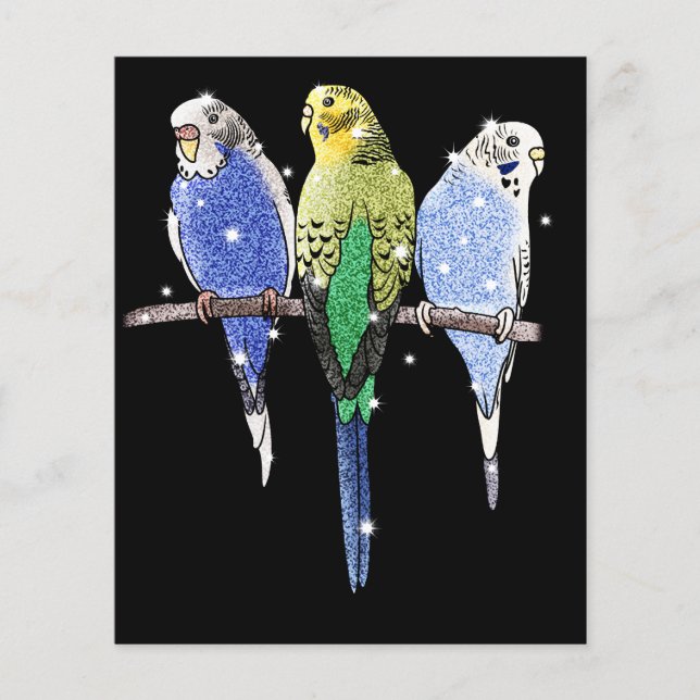 Budgie Budgerigar Glitter Flyer (Front)