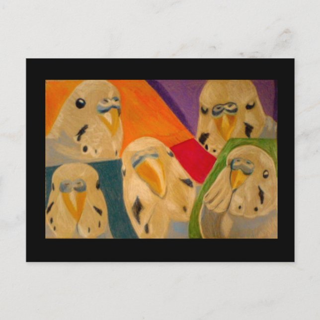 Budgie Budgerigar Postcard (Front)