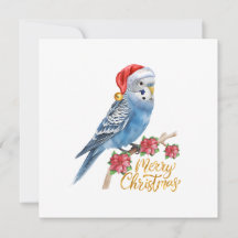 Budgie Christmas Card