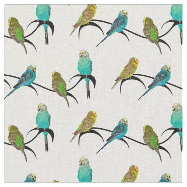 Budgie Frenzy Fabric (choose colour) (Close Up)